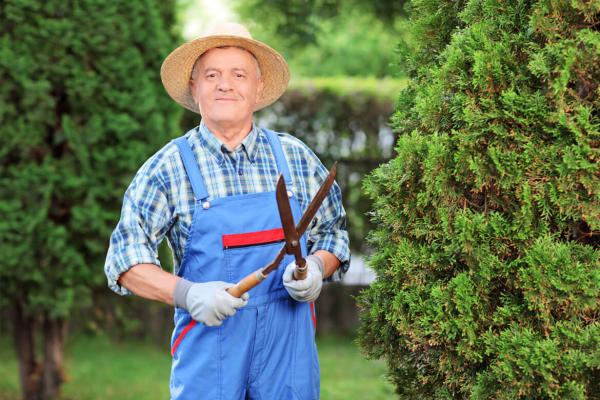 Landscapist spl