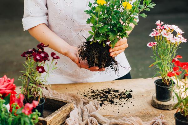 Spring and Fall Cleanup